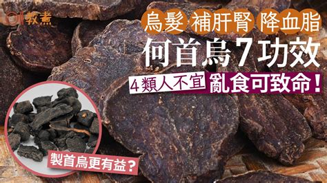 何首烏 一斤 多少錢|藥食同源——首烏（何首烏）